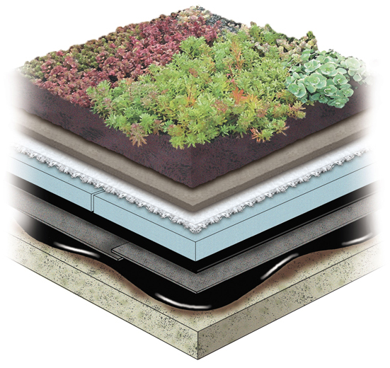 GARDEN ROOF® ROCK MINERAL WOOL ASSEMBLIES