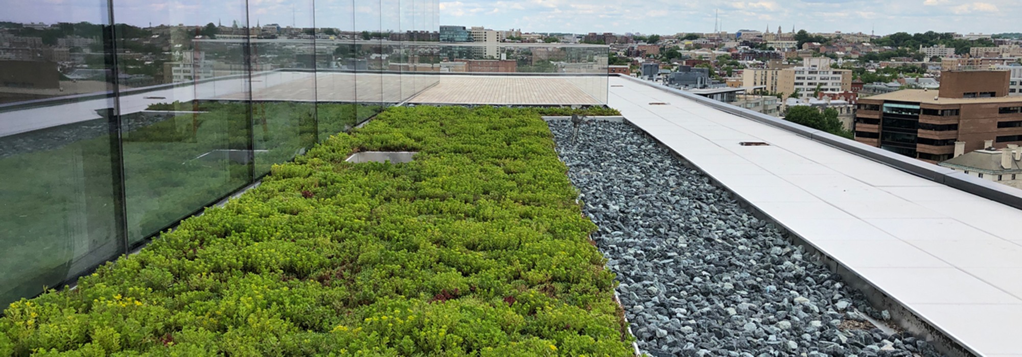 Garden Roof